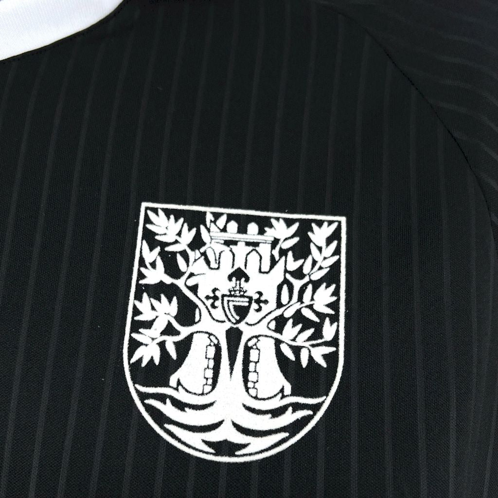 Men’s Celta de Vigo 2025/26 Fan Camiseta Edicion Especial Oliveira Dos Cen Anos Jersey