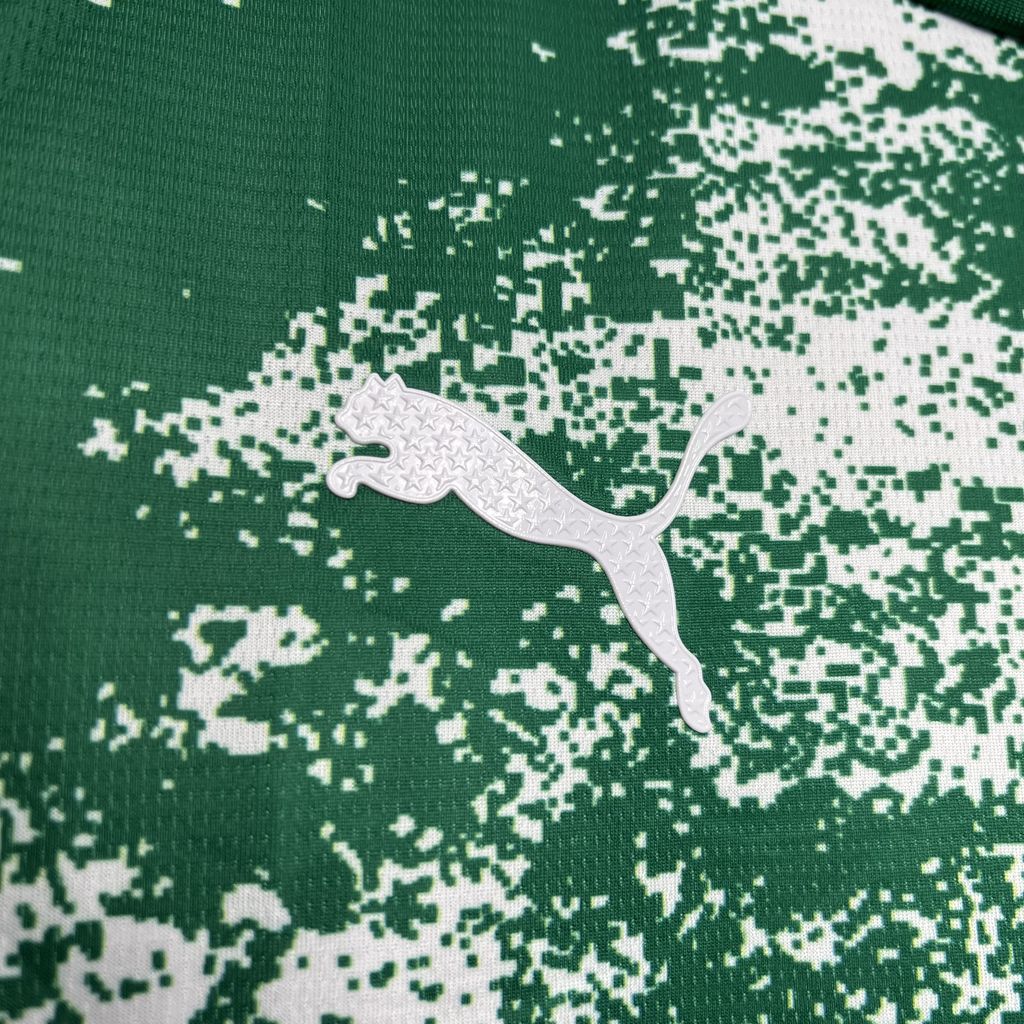 Men's Palmeiras 2024/25 White and green Jersey