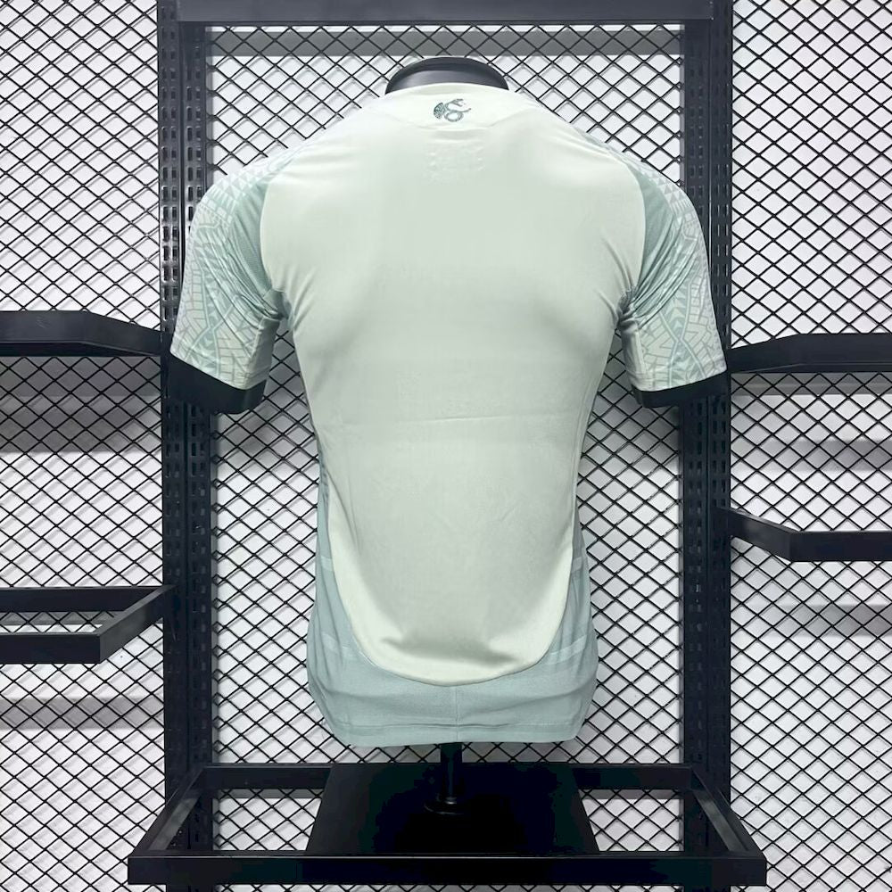 Men's Mexico 2024/25 Player Away Jersey