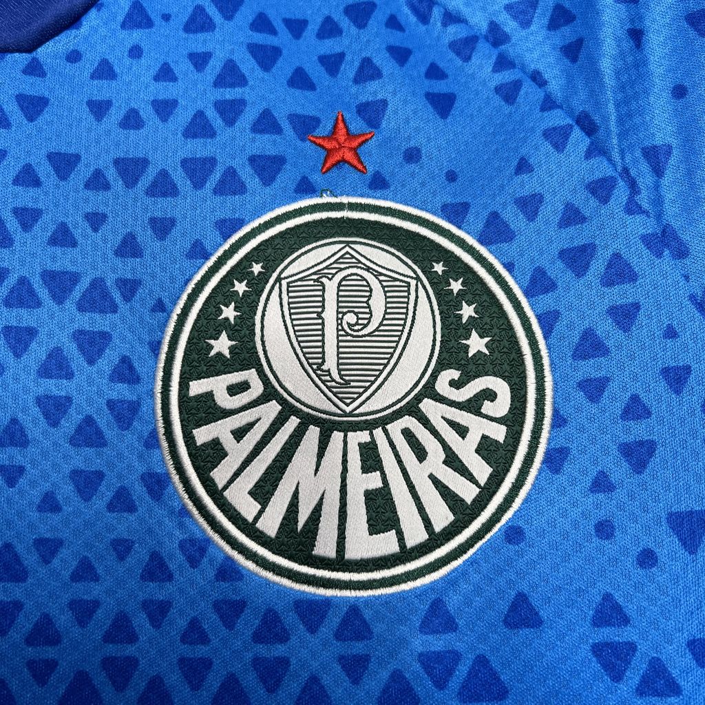 Men's Palmeiras 2024/25 Pre-Match Jersey