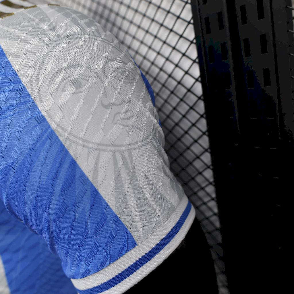 Men's Argentina 2024/25 Player Jersey
