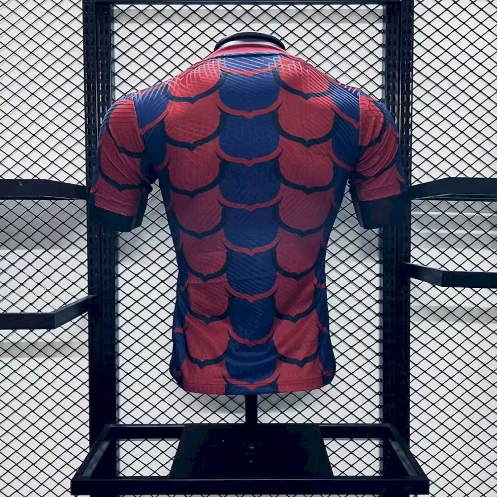 Men’s Barcelona 2024/25 Player Special Edition Jersey