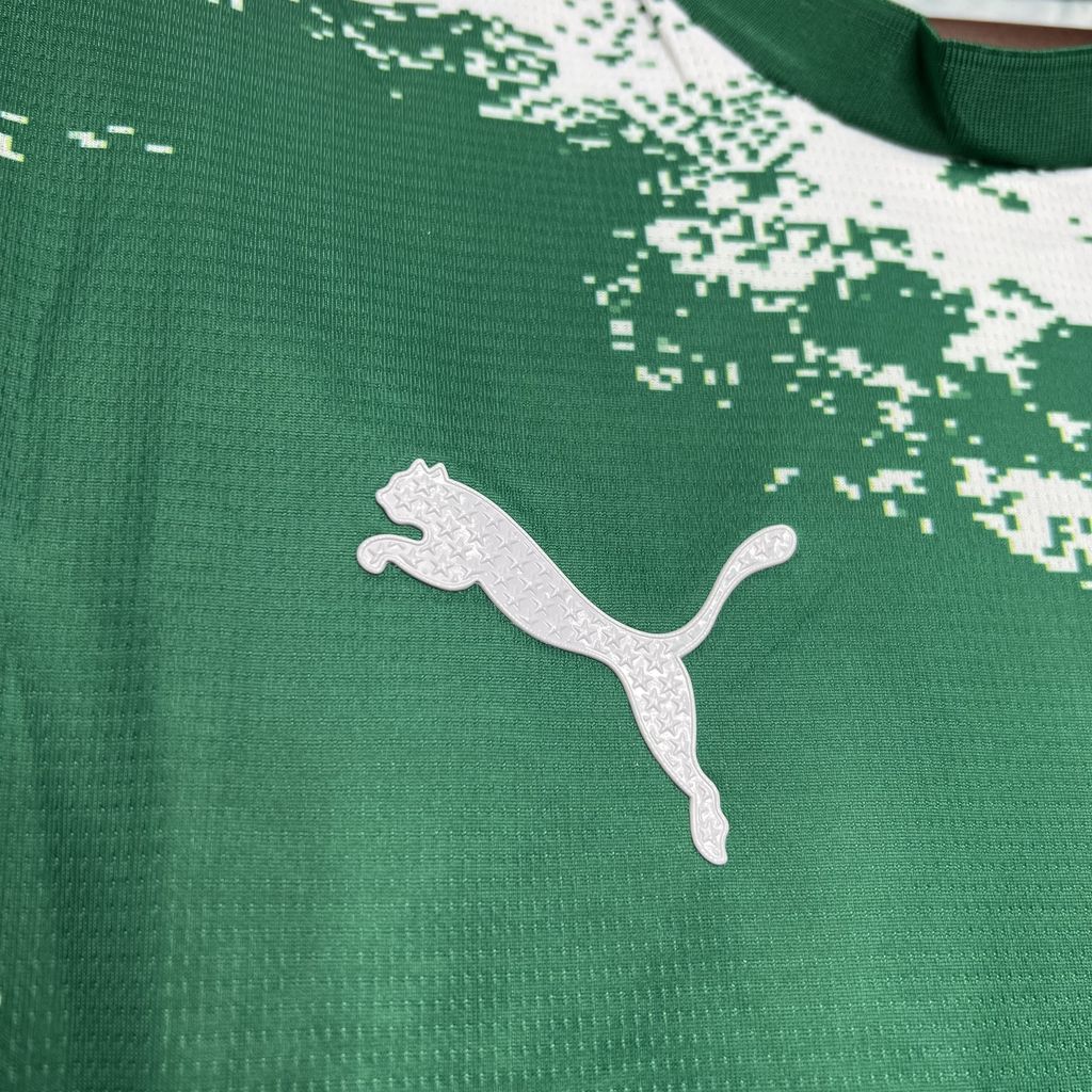 Men's Palmeiras 2024/25 Green and white Jersey