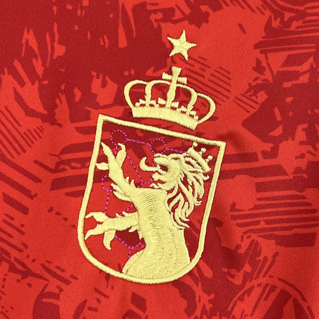 Mens Spain 2024/25 Pre-Match Jersey - Image 5