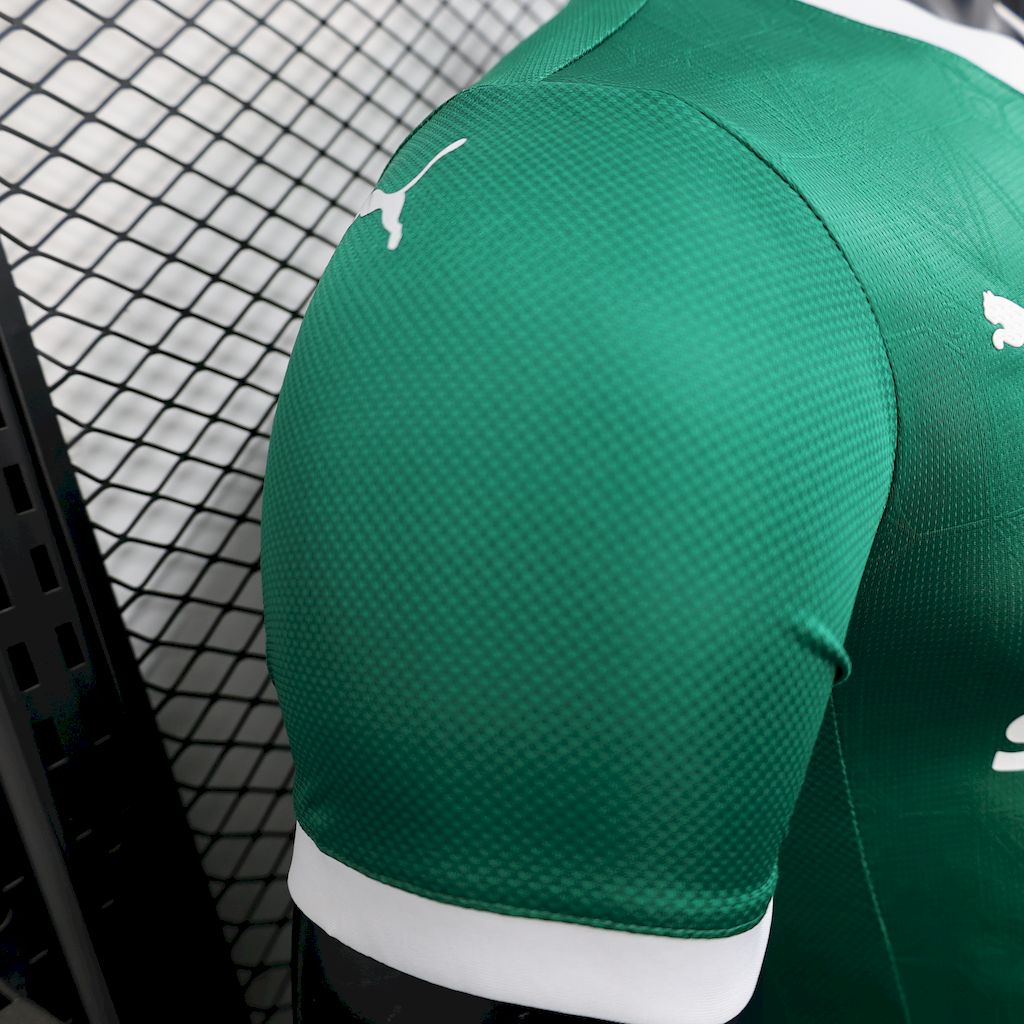 Men's Palmeiras 2025/26 Player Home Jersey