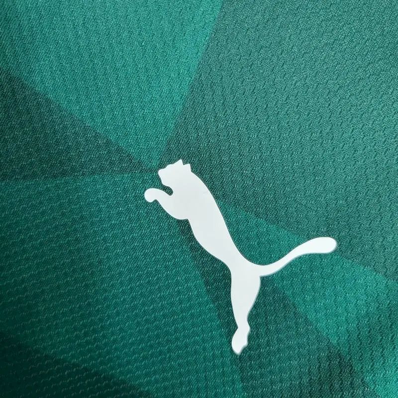 Men's Palmeiras 2023/24 Home Long Sleeve Jersey