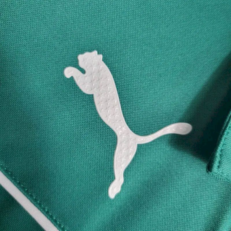 Men's Palmeiras 2023/24 Pre-Match Jersey Green