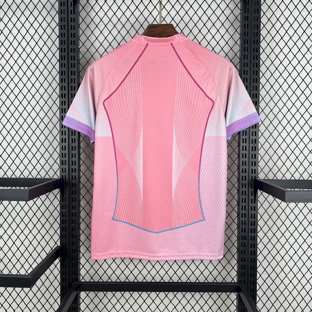 Men's Paris Saint-Germain 2025/26 pink Jersey