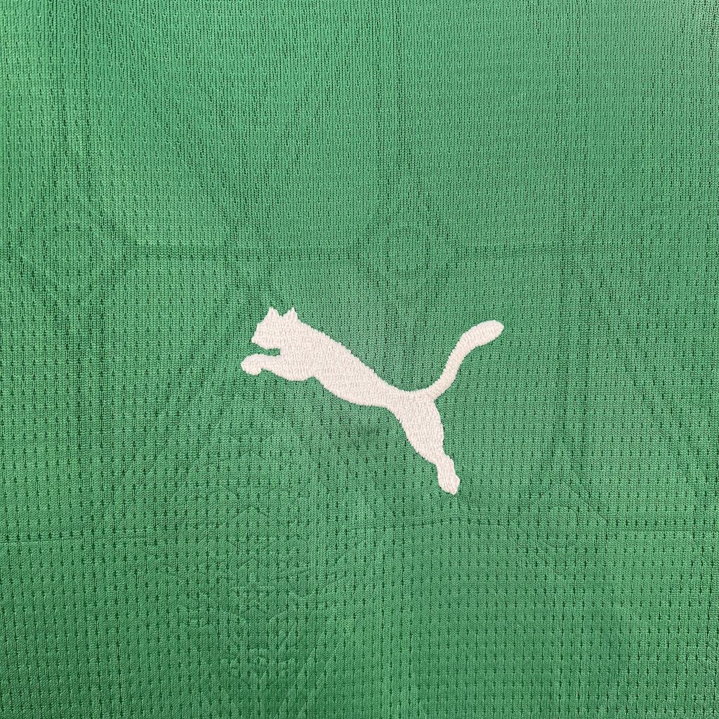 Women's Palmeiras 2025/26 Home Jersey