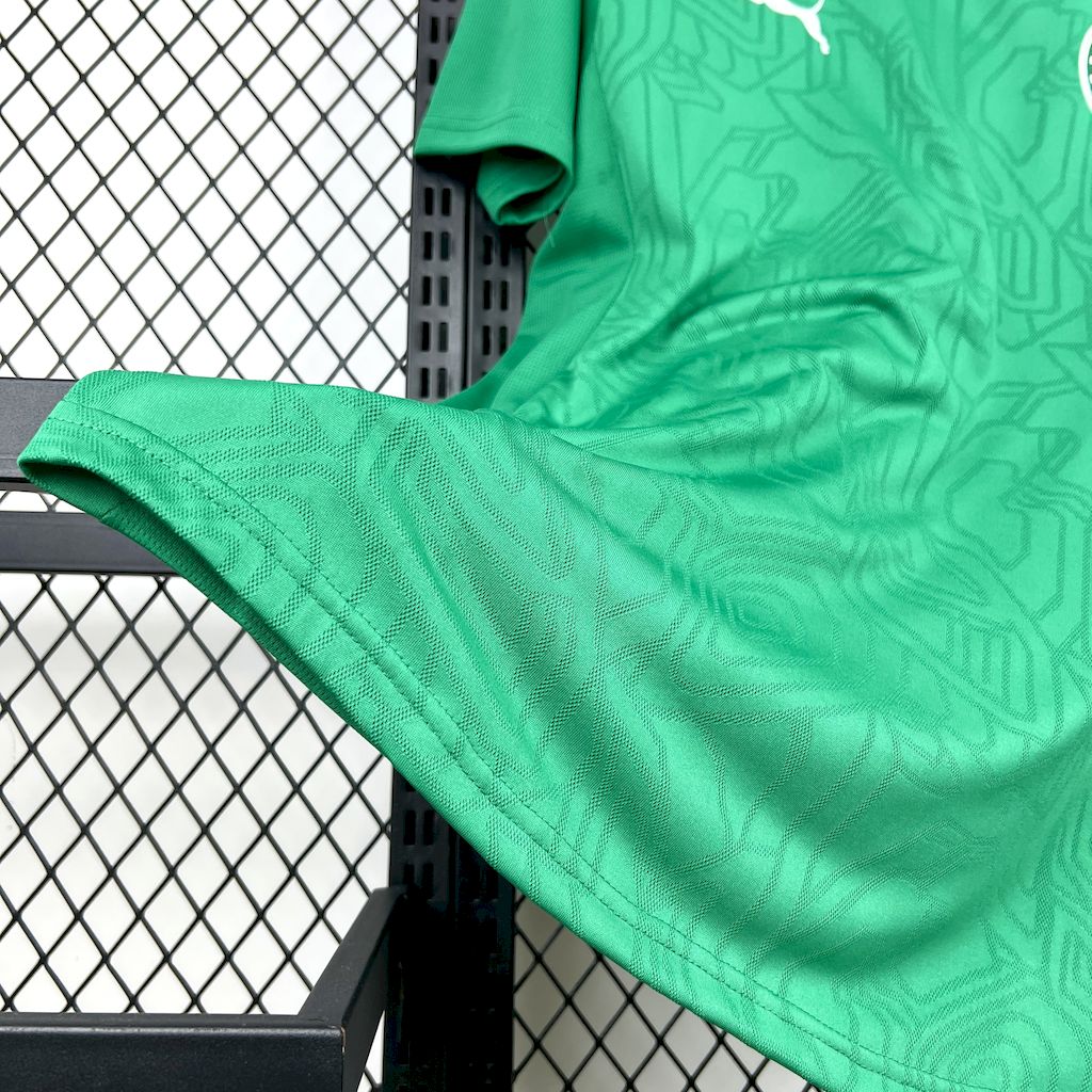 Men's Palmeiras 2025/26 Pre-Match Jersey