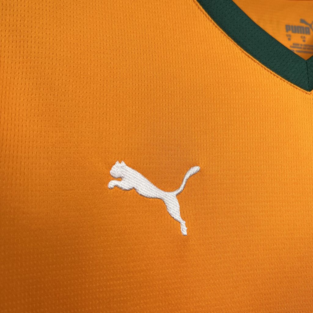 Men's Valencia CF 2024/25 Fan Third Jersey