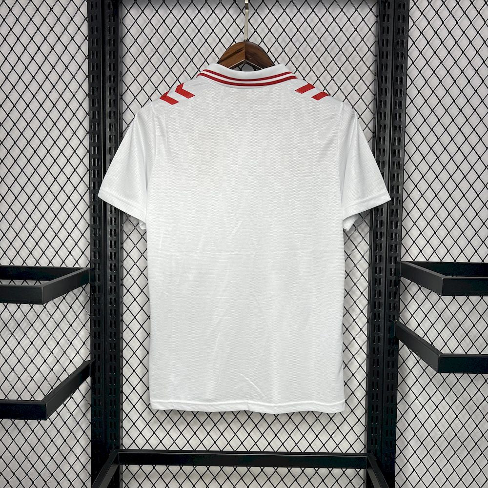 Men's Denmark 2024/25 Away Jersey