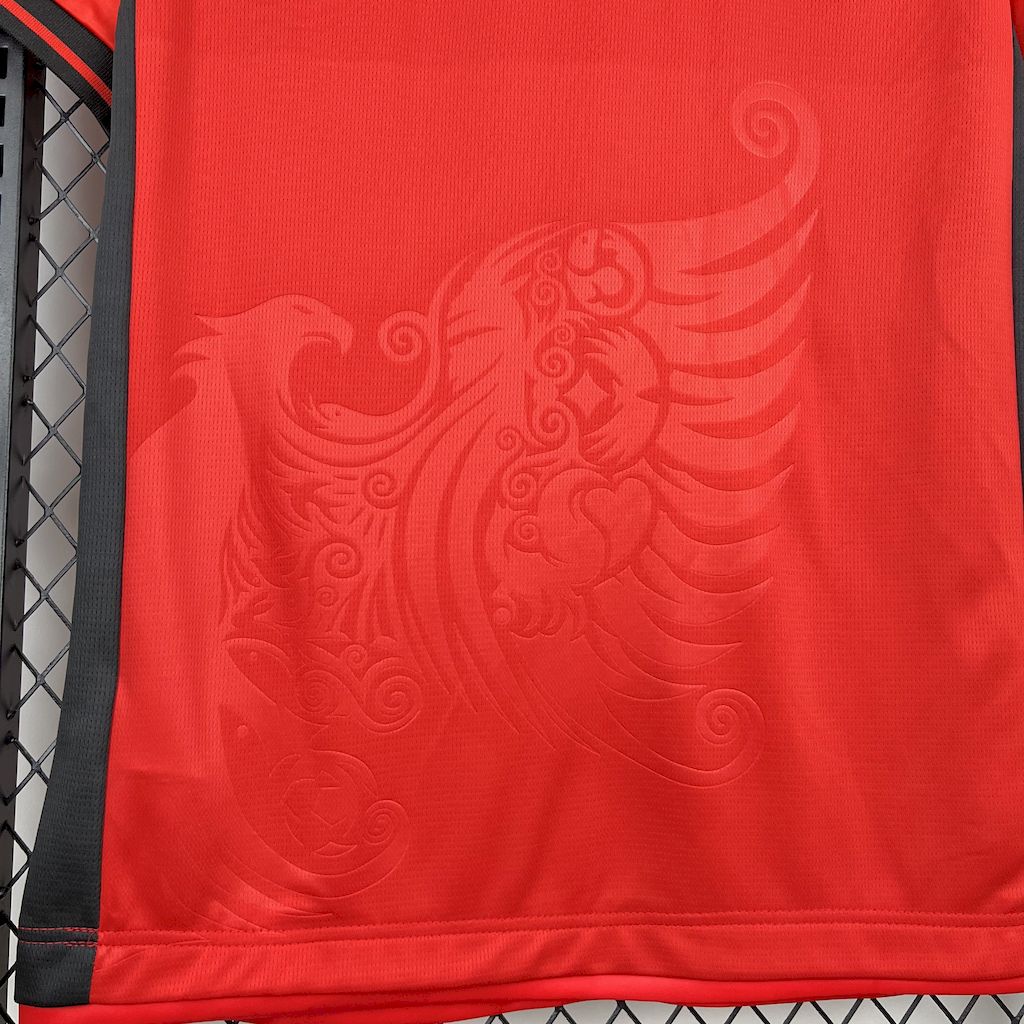 Men's Albania 2025/26 Home Jersey