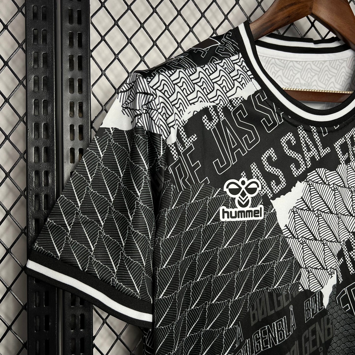 Men's Denmark 2024/25 Pre-Match Jersey