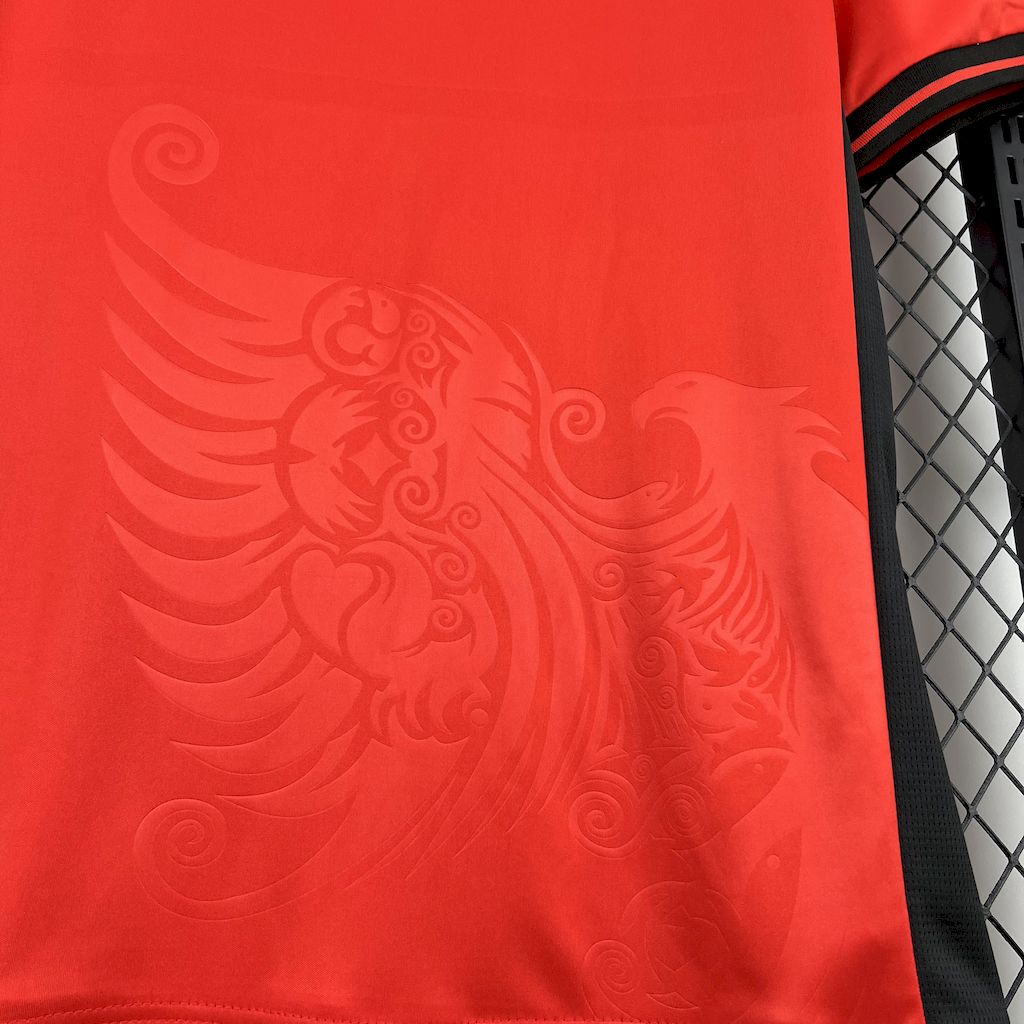 Men's Albania 2025/26 Home Jersey